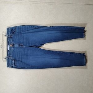 01124 Lane Bryant MidRise Boyfriend Flex Magic Blue jeans 16